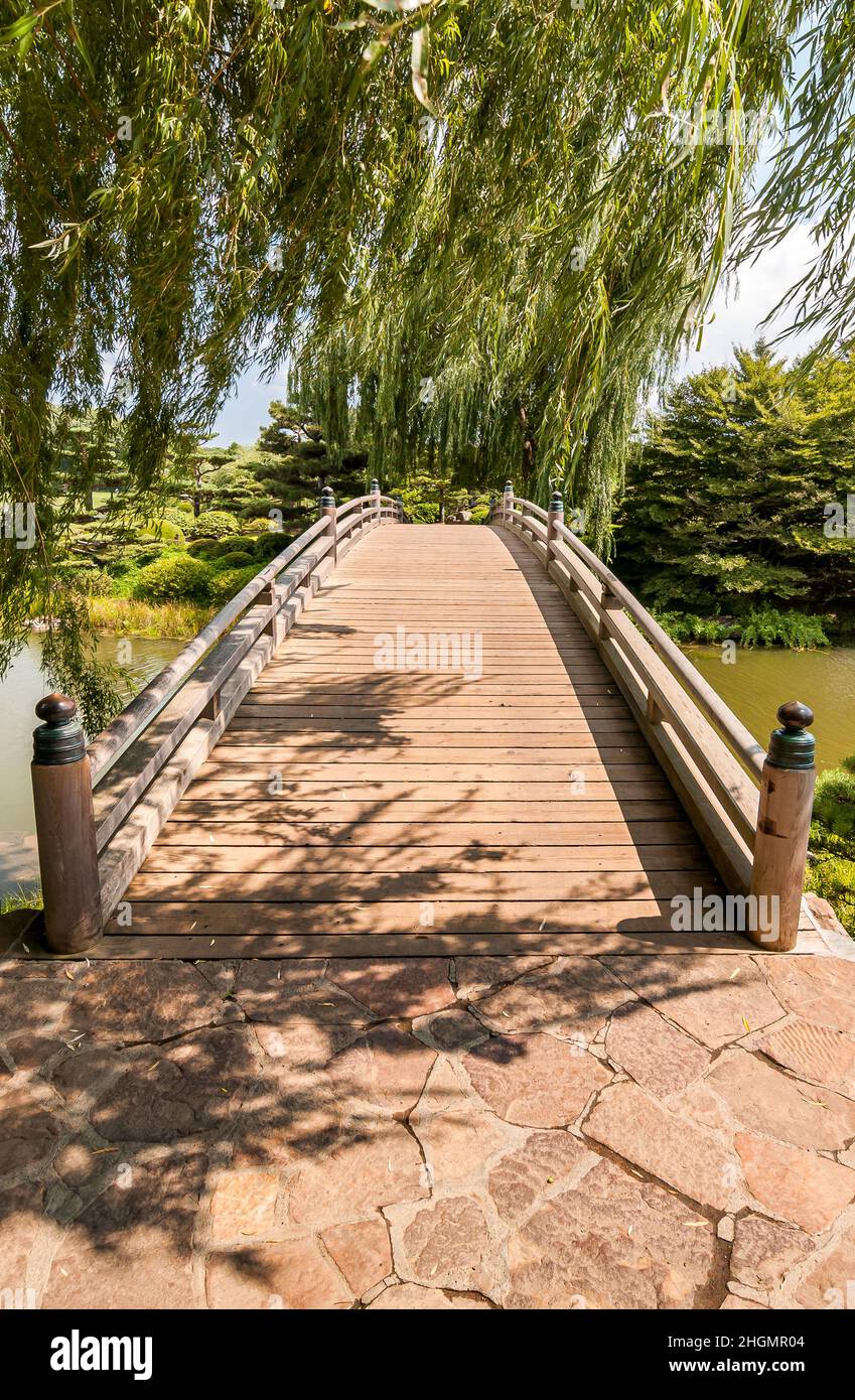 Pont en bois à l'île japonaise dans le jardin botanique de Chicago, États-Unis Banque D'Images