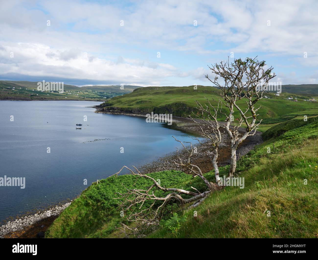 Le paysage d'été avec un arbre de Loch Pooltiel à Milovaig sur la péninsule de Duirinish de l'île de Skye West Highlands Ecosse Royaume-Uni Banque D'Images