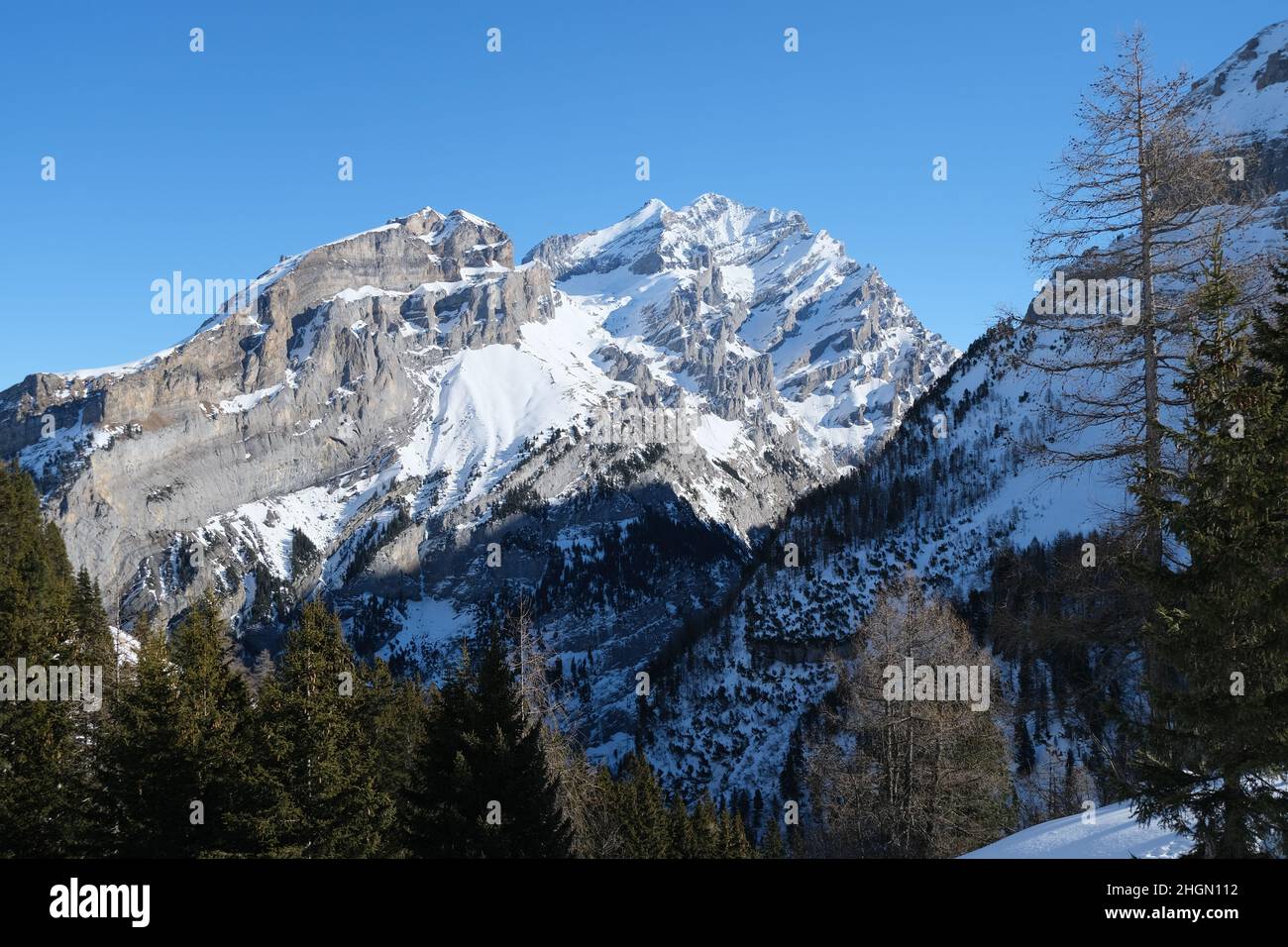 Montagne de Tatelishorn en hiver, vue depuis le sentier de randonnée en raquettes de Spittelmatte près de Kandersteg, en Suisse. Banque D'Images
