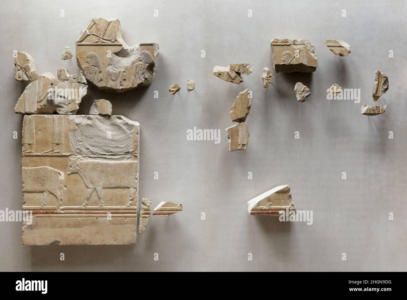 Fragments de relief de la tombe de Neferu montrant richement orned préposés se déplaçant de droite à gauche ca.2051–2030 C.-B. Middle Kingdom Neferu était probablement la première reine de Nebhepetre Mentuhotep II, et pourrait aussi avoir été sa sœur.Sa tombe pillée, excavée par le Metropolitan Museum of Art entre 1923 et 1931, se trouve à l'extérieur du temple du roi à Deir el Bahri.Il a été visité comme un sanctuaire dans la dix-huitième dynastie, et à un certain point il a été utilisé comme une carrière pour la pierre calcaire fine couvrant les murs.la décoration des appartements funéraires se composait presque exclusivement de scen rituel Banque D'Images