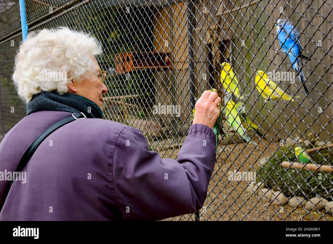 Paris, France.Une dame âgée non identifiée qui se nourrit de copains au jardin d'Acclimatation (parc d'attractions populaire situé à Bois de Boulogne) Banque D'Images