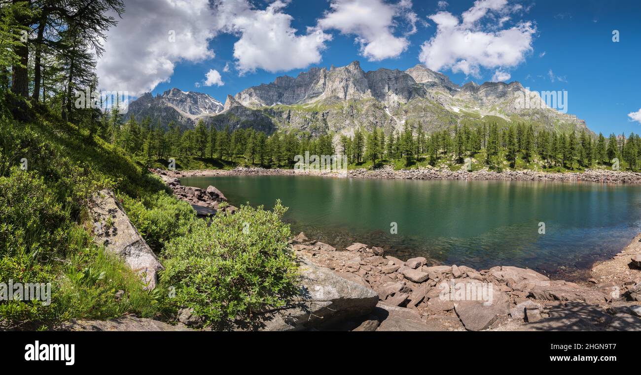 Lac alpin Lago Nero à Alpe Devero Italie avec arbres et rochers au premier plan Banque D'Images