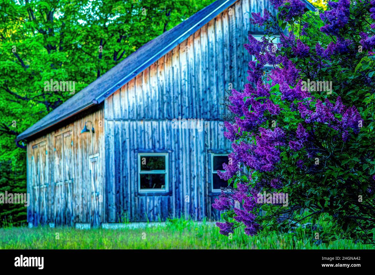 Signes de printemps sur l'île de Washington, Door County Wisconsin.Chaque printemps, cette petite île au large de la pointe de la péninsule de la porte attire les touristes. Banque D'Images