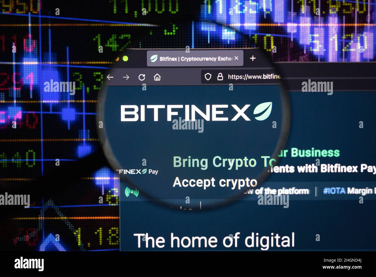 Logo de la société Bitfinex crypto sur un site Web, vu sur un écran d'ordinateur à travers une loupe. Banque D'Images