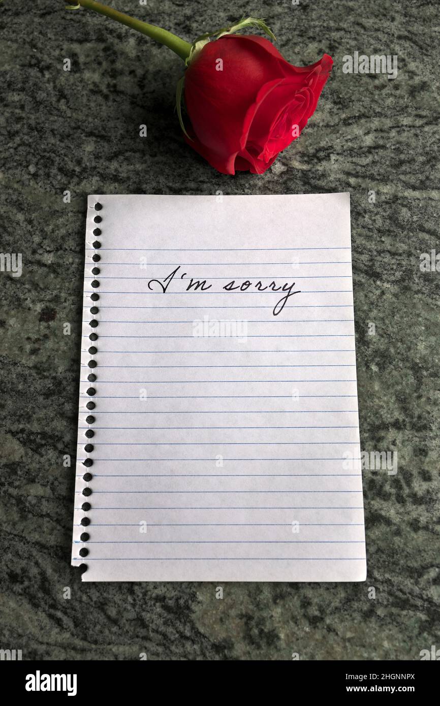 Une note de pardon avec une rose rouge à côté Banque D'Images