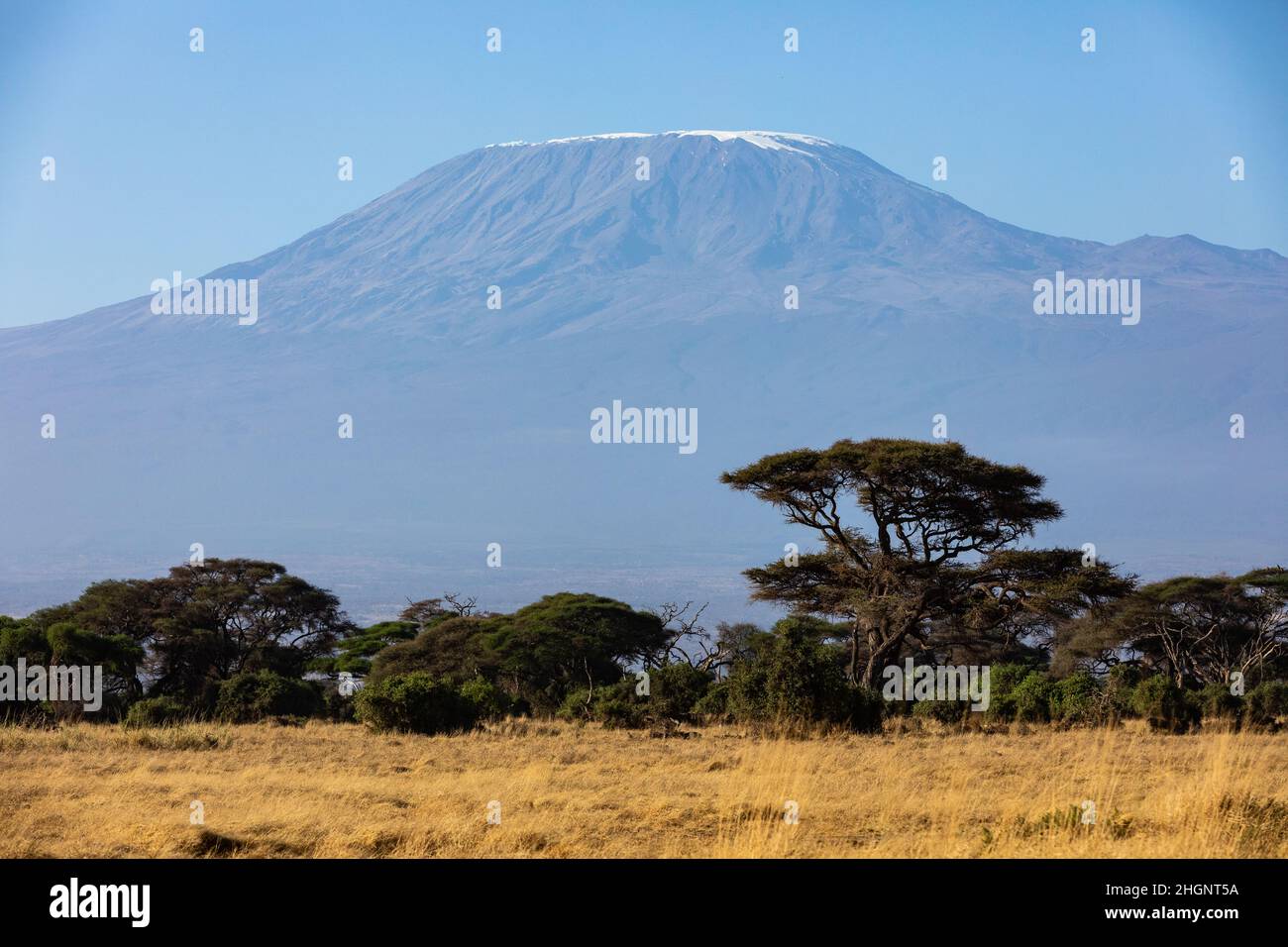 KENYA - 16 AOÛT 2018 : Mt Kilimanjaro dans le parc national d'Amboseli Banque D'Images