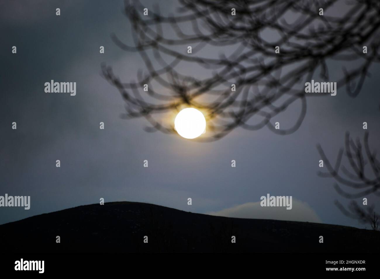 L'Equinox de printemps pleine lune se lève au-dessus des contreforts de Snowdonia avec des brindilles de frêne.Mars Banque D'Images
