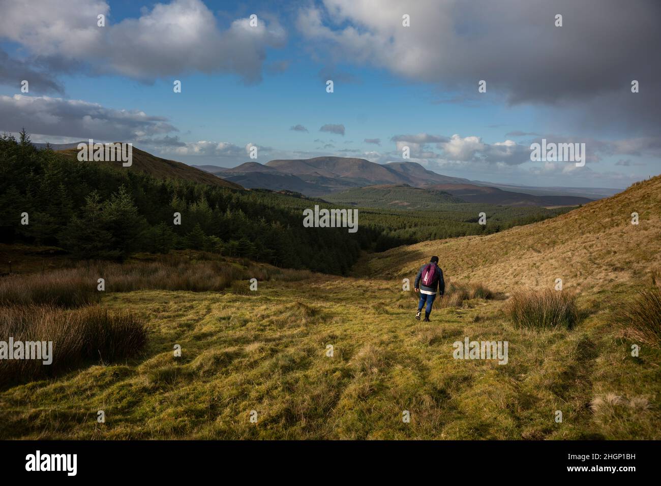 Un randonneur dans les montagnes du parc national de Nephin sauvage, 11000 hectares de la tourbière de couverture de l'Atlantique et terrain montagneux couvrant un vaste et inhabité Banque D'Images