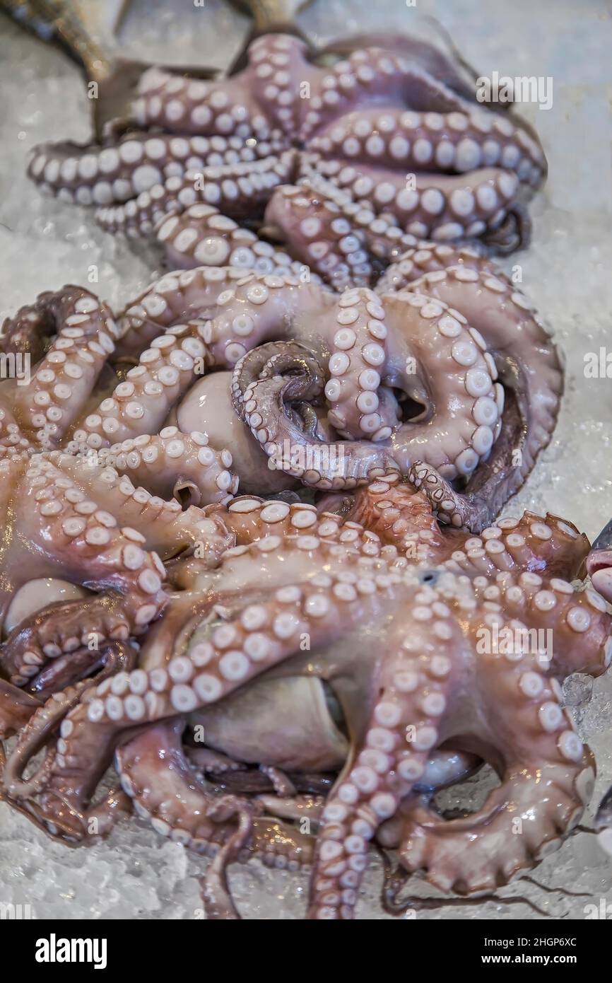 Pieuvre sur glace au marché aux poissons.Image de stock. Banque D'Images