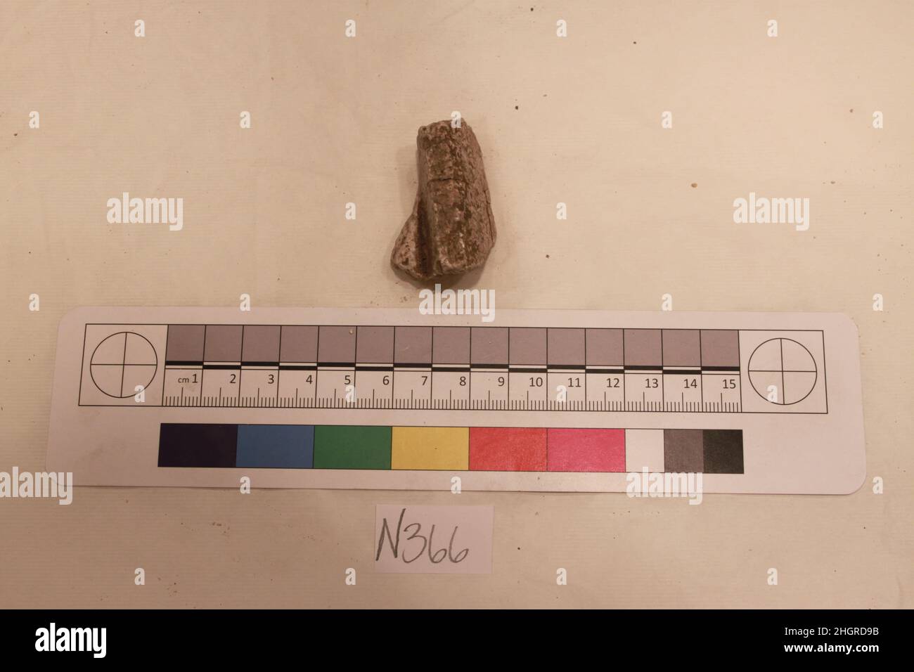 Fragment de stuc probablement 8th–12th siècle.Fragment de stuc 741733 Banque D'Images