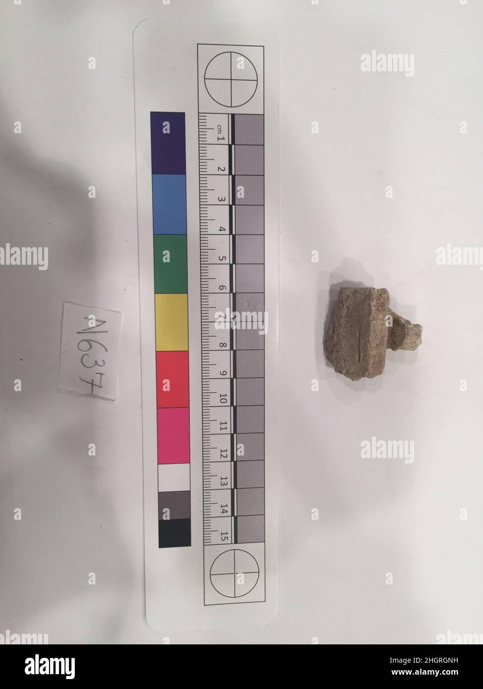 Fragment de stuc probablement 8th–12th siècle.Fragment de stuc 742004 Banque D'Images