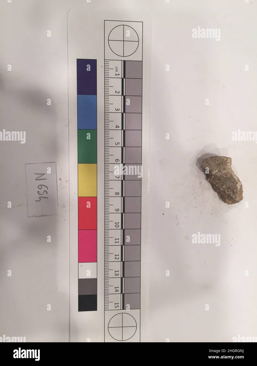 Fragment de stuc probablement 8th–12th siècle.Fragment de stuc 742021 Banque D'Images