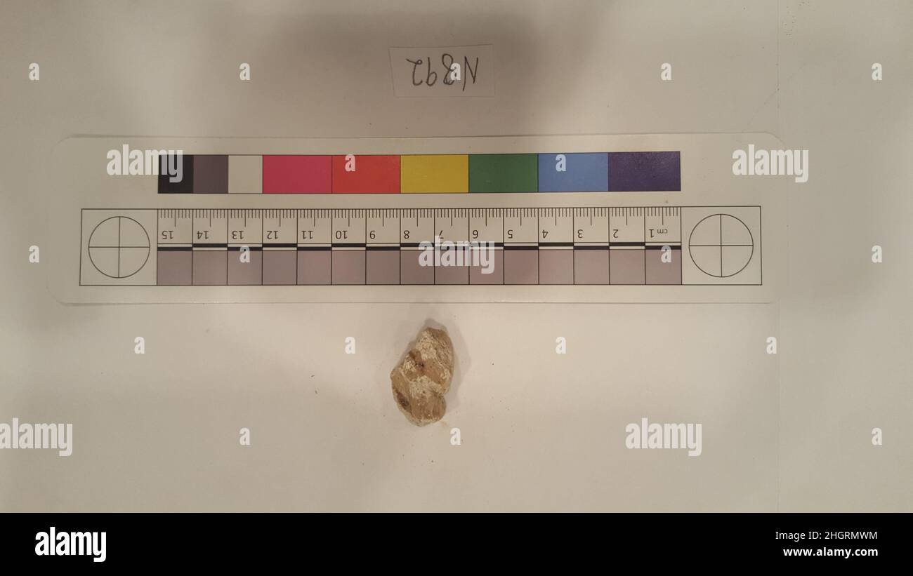 Fragment de stuc probablement 8th–12th siècle.Fragment de stuc 742260 Banque D'Images