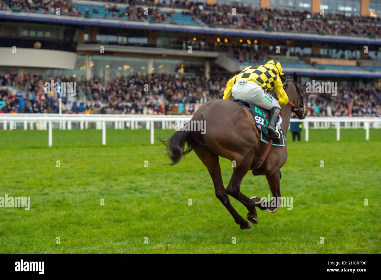 Ascot, Berkshire, Royaume-Uni.22nd janvier 2022.Le cheval Shishkin monté par Jockey Nico de Boinville se dirige sur la piste avant de gagner le SBK Clarence House Steeple Chase (classe 1) (classe 1) (course GBB).Propriétaire Mme J Donnelly.Entraîneur Nicky Henderson, Lambourn.Sélectionneur CJ & E B Bennett.Sponsor Unibet.Crédit : Maureen McLean/Alay Live News Banque D'Images