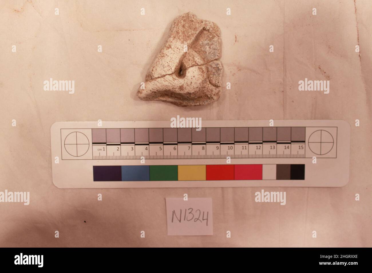 Fragment de stuc probablement 8th–12th siècle.Fragment de stuc 741125 Banque D'Images