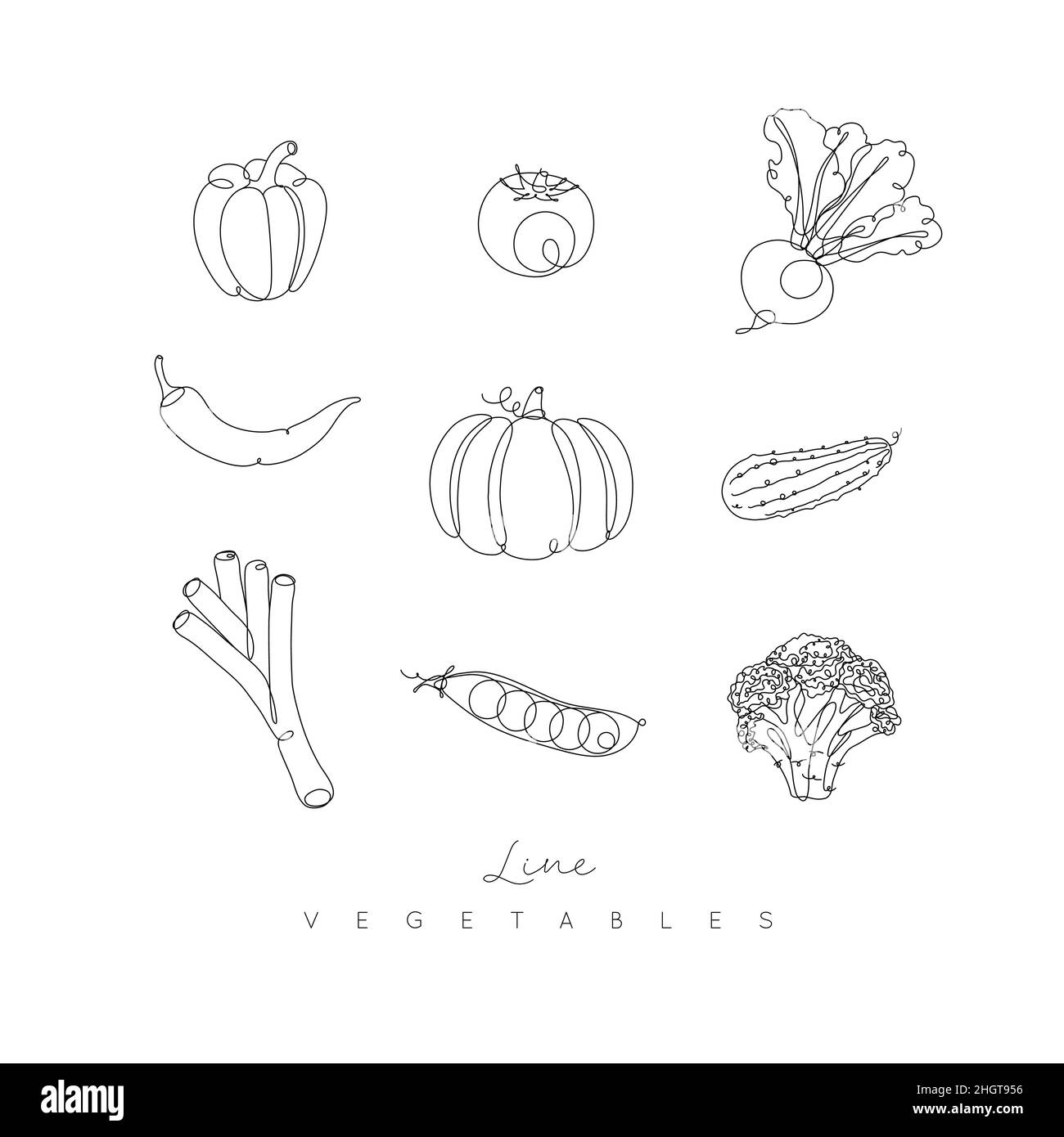 Légumes icônes poivre, tomate, betterave, Chili, citrouille,concombre, poireau, pois, brocoli en stylo à la main dessin des lignes style sur fond blanc Illustration de Vecteur