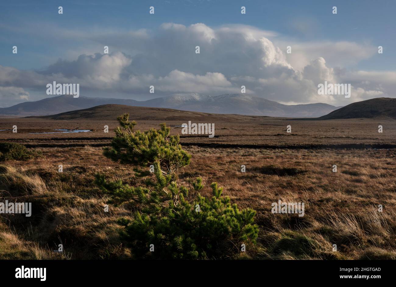 Bogland au bord du parc national Wild Nephin en Irlande.Il est situé sur la côte ouest dans le nord-ouest de Mayo.Il s'étend sur 11,000 hectares. Banque D'Images