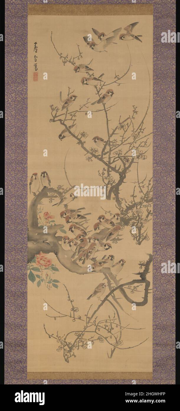 Bruant dans un arbre de Plum deuxième moitié du Rosetsu de Nagasawa 1790s ????Un sujet commun dans la peinture d'oiseau et de fleur japonaise, les moineaux et les branches de prune fleuries évoquent le début du printemps, qui selon le calendrier lunaire commencerait au début de février.Rosetsu remplit la composition d'une profusion de brindilles qui se tortillent et tournent brusquement.Le désordre calculé des branches de prune trouve son écho dans les nombreux moineaux, dont beaucoup l'artiste peint dans de légères variations de poses similaires.Les oiseaux ou autres animaux qui regardent directement vers le spectateur, presque comme s'ils voulaient se mettre à l'arrêt Banque D'Images