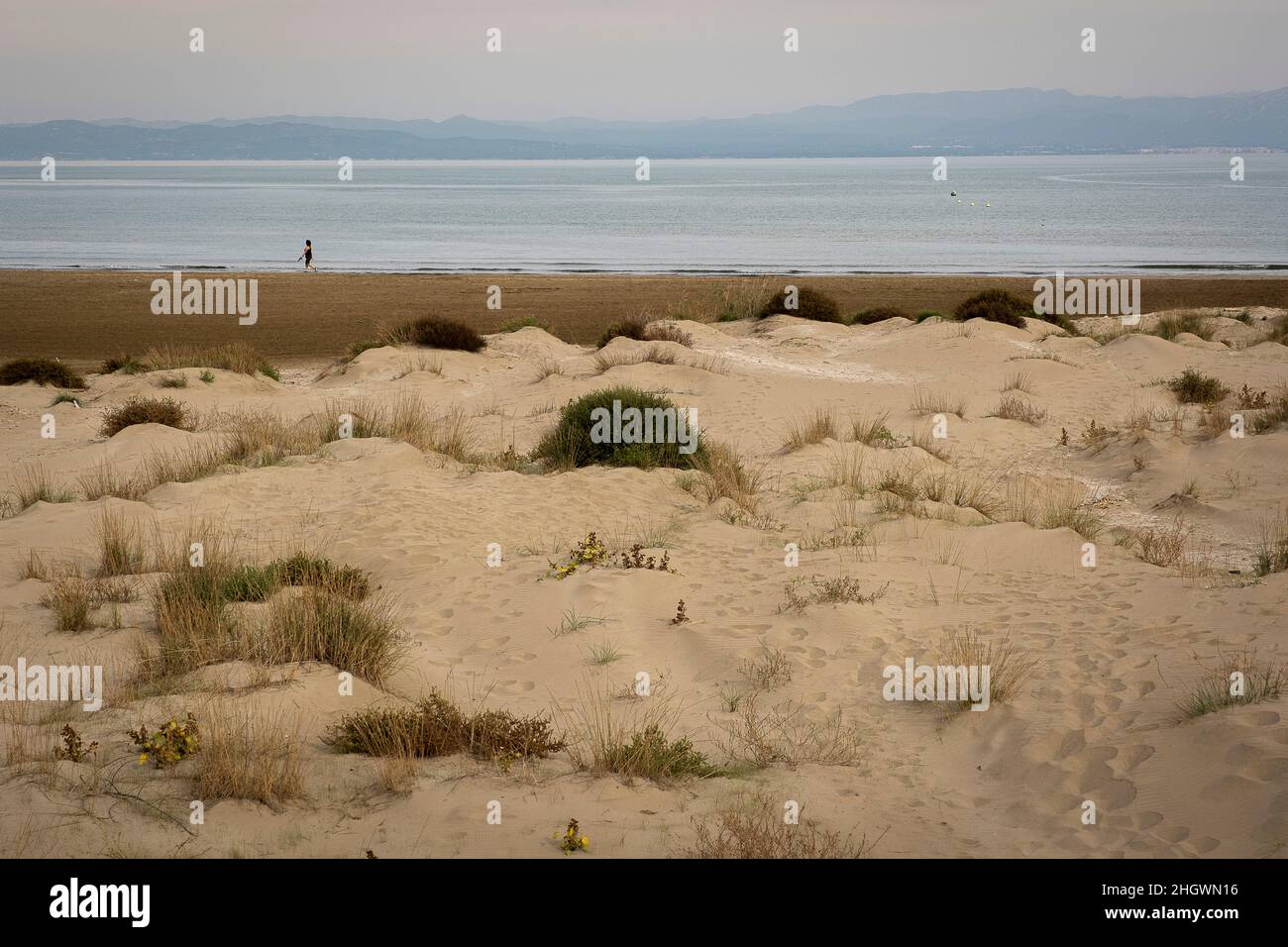 Plage des catalans beach Banque de photographies et d'images à haute  résolution - Alamy
