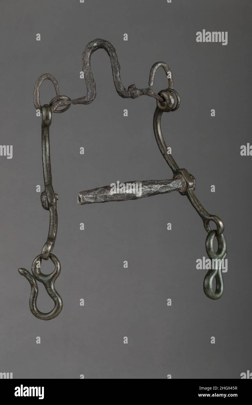 Embout à rotule en acier inoxydable pour bouche de cheval, outil
