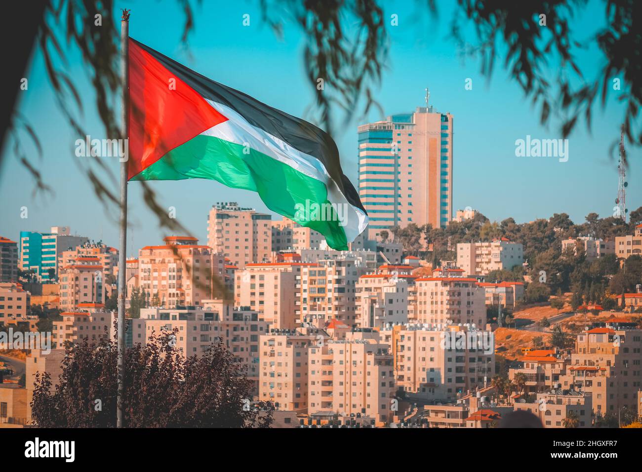 Drapeau palestinien comme à travers les feuilles de l'arbre avec quelques bâtiments de la ville sur le fond à ramallah Banque D'Images