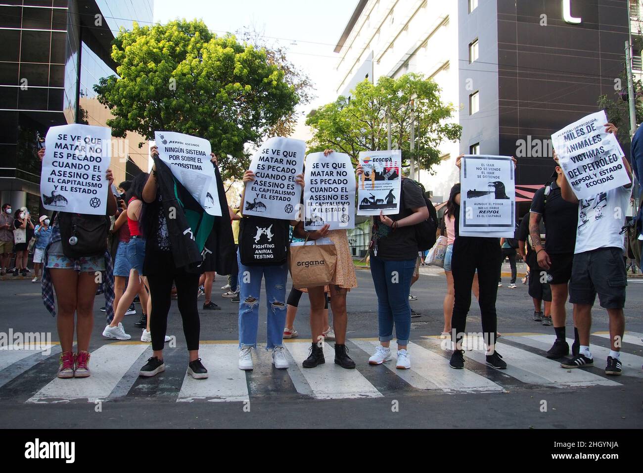 Des dizaines de manifestants se rassemblent devant les bureaux de Repsol au Pérou pour protester contre la récente marée noire qui a causé une catastrophe écologique sur les côtes de Lima et El Callao.Le 15 janvier, au milieu de vagues anormales produites par l'éruption du volcan Tonga, plus de 6 000 barils de pétrole ont été déversés dans la mer à la raffinerie de la Pampille exploitée par Repsol, une compagnie pétrolière espagnole,L'une des plus grandes catastrophes écologiques des dernières décennies au Pérou. Banque D'Images