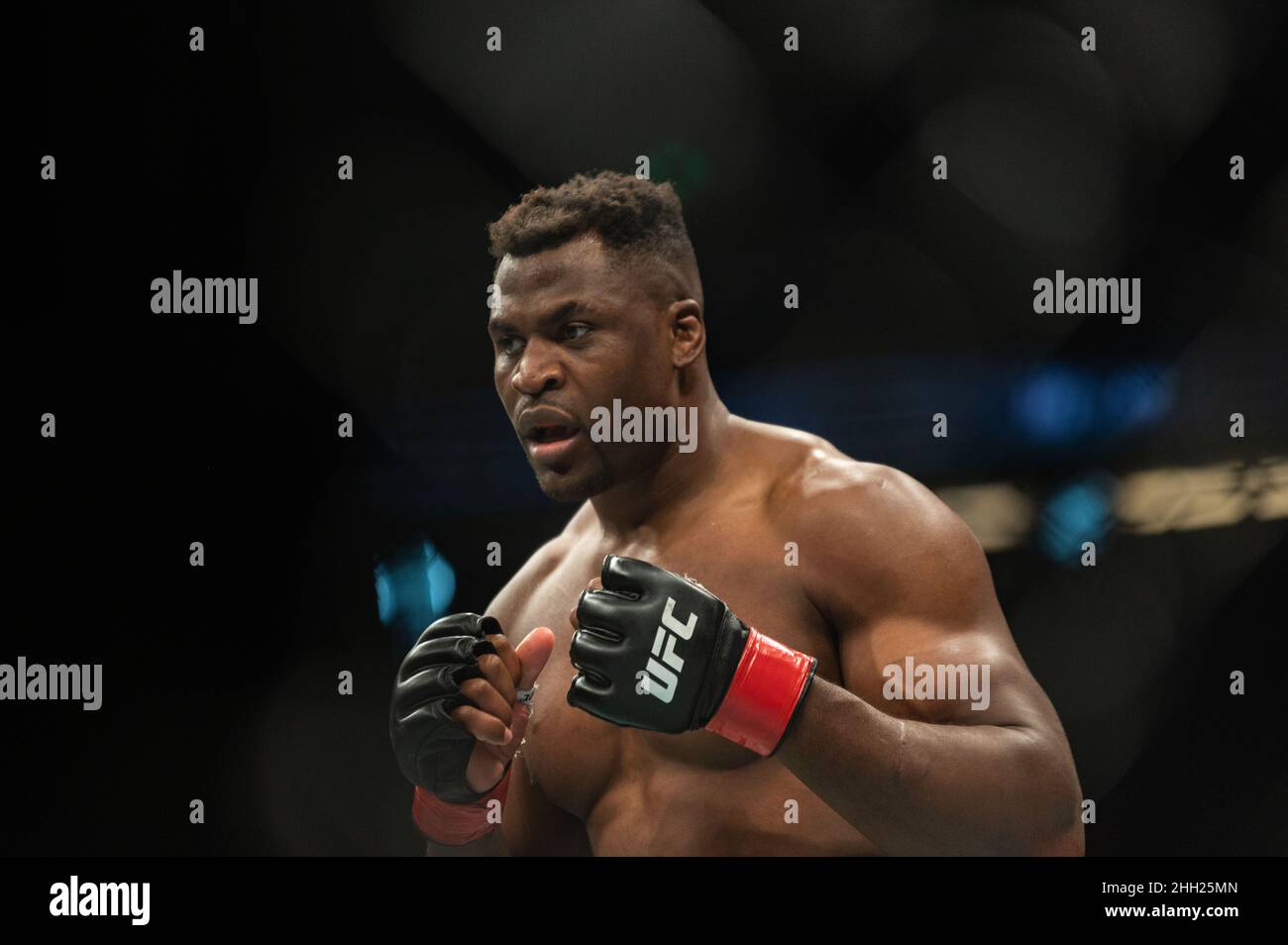 Anaheim, Californie, États-Unis.22nd janvier 2022.UFC 270: Ngannou vs Gane: (Credit image: © Dalton Hamm/ZUMA Press Wire) Banque D'Images