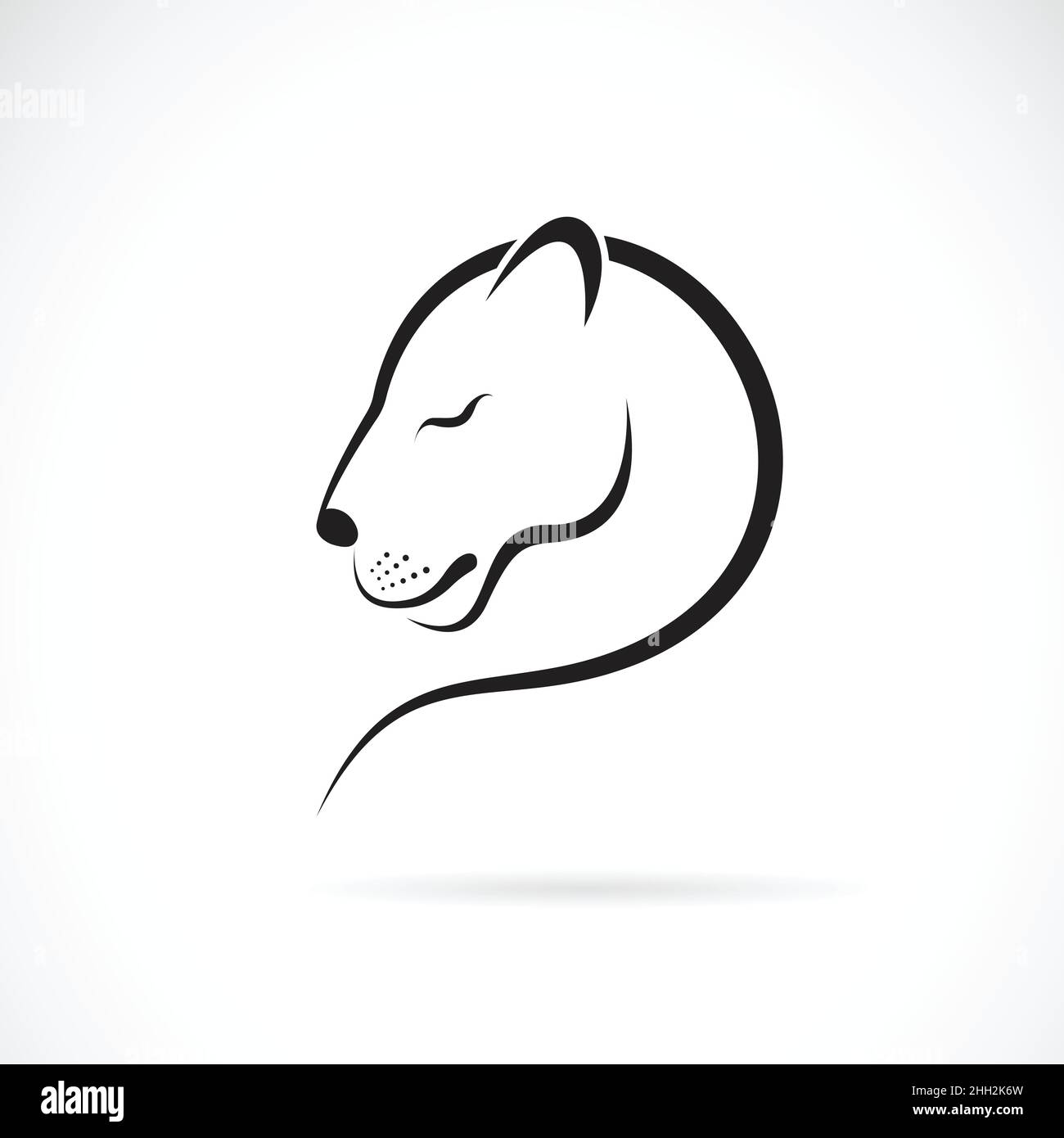 Motif lion féminin sur fond blanc.Animaux sauvages.Logo ou icône lion féminin.Illustration vectorielle superposée facile à modifier. Illustration de Vecteur