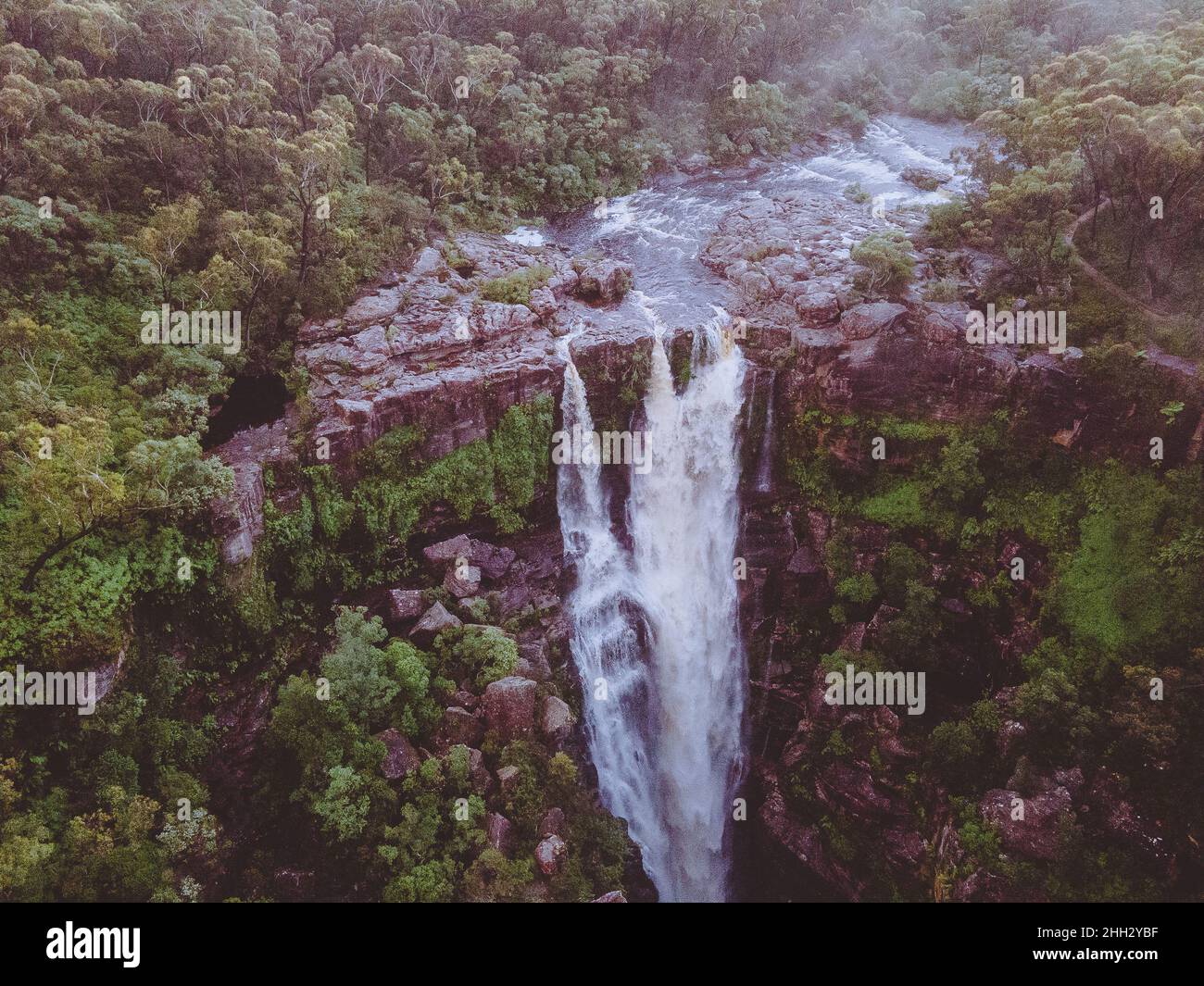 Carrington Falls dans le parc national de Budderoo, Nouvelle-Galles du Sud en Australie Banque D'Images