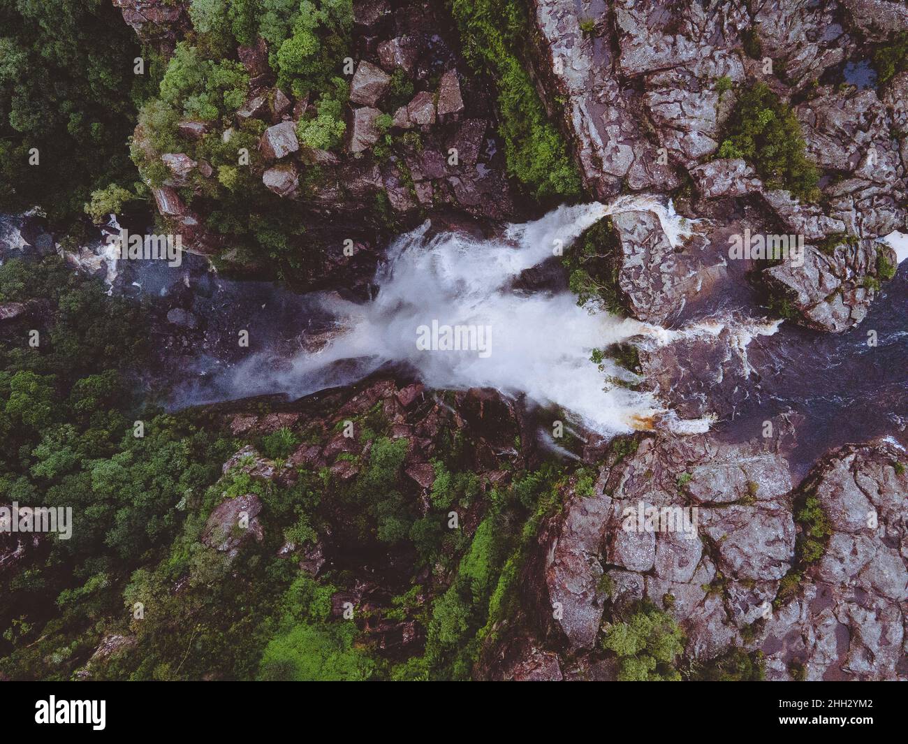Carrington Falls dans le parc national de Budderoo, Nouvelle-Galles du Sud en Australie Banque D'Images