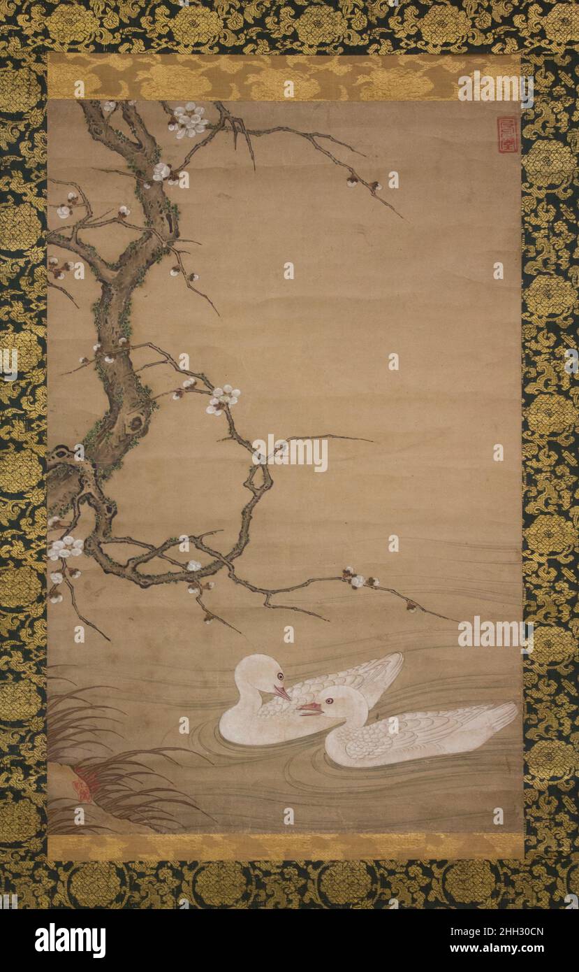 Prunier et oiseaux d'eau début 16th siècle attribué à Kano Masanobu ????Une paire d'oiseaux aquatiques glissent sous les branches fragiles d'un prunier dans cette œuvre portant les phoques de Kano Masanobu, fondateur de l'école de peinture de Kano, qui a dominé la peinture japonaise traditionnelle pendant quatre siècles.Les délicates fleurs blanches de l'arbre à prunier et un enchevêtrement de roseaux séchants dans le coin inférieur gauche sont révélateurs de la fin de l'hiver.Comme beaucoup d'autres peintures de l'école Kano dans le genre oiseau-et-fleur, chacun des motifs est dessiné avec des contours d'encre noire, tandis que les lavages d'encre et les accents sont utilisés pour su Banque D'Images