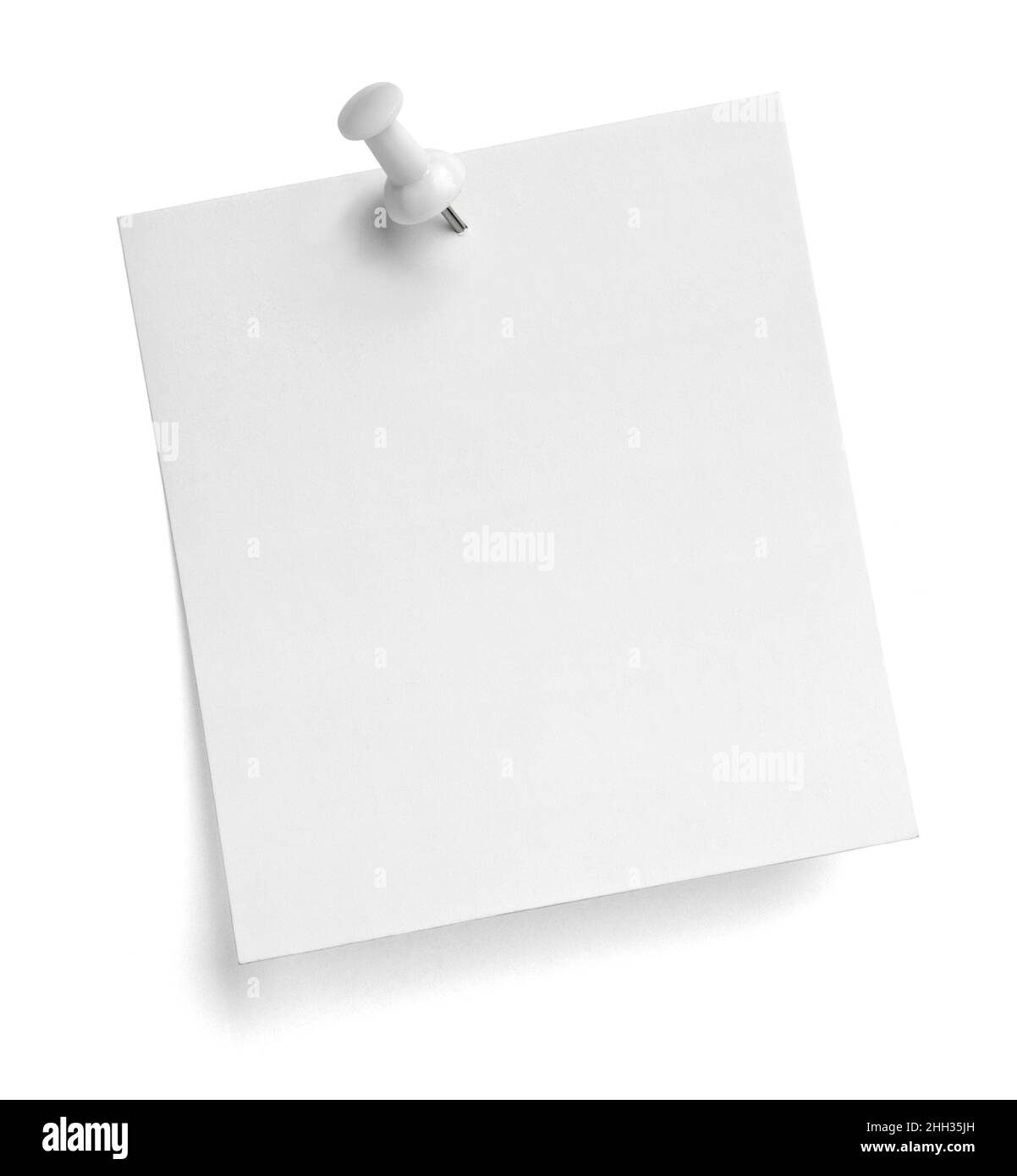 notez le message « punaise » sur papier rouge blanc noir Banque D'Images