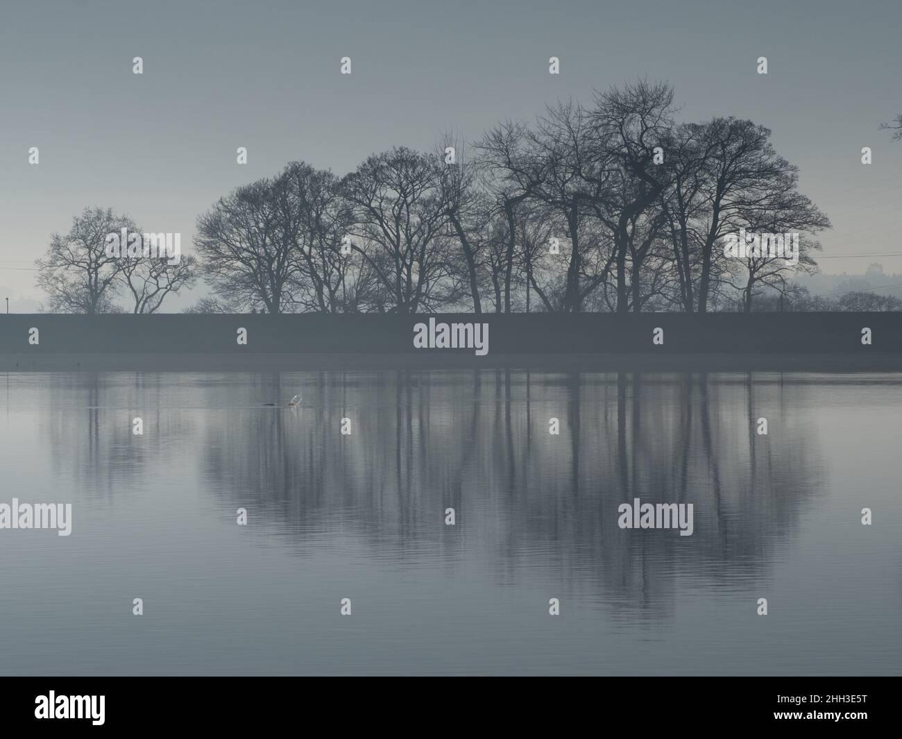 Paysage simple, arbres reflétés dans l'eau Banque D'Images