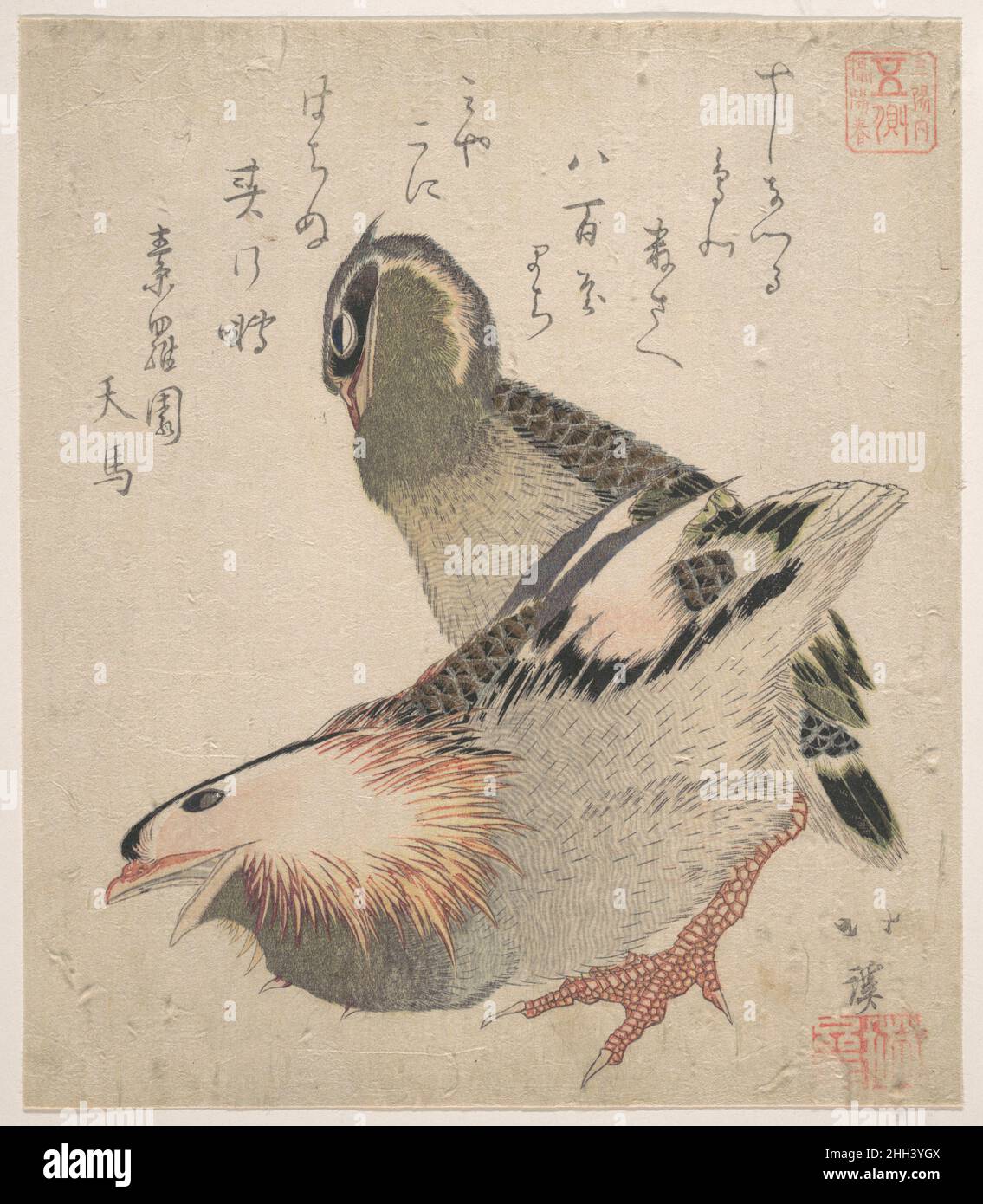 Deux oiseaux Totoya Hokkei Japonais.Deux oiseaux 54436 Banque D'Images