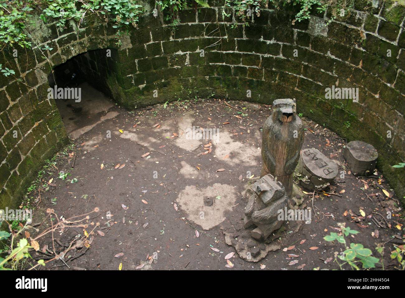 Ours sculptures en bois dans l'ancien Bear Pit, Eastham Country Park, Wirral, Royaume-Uni Banque D'Images