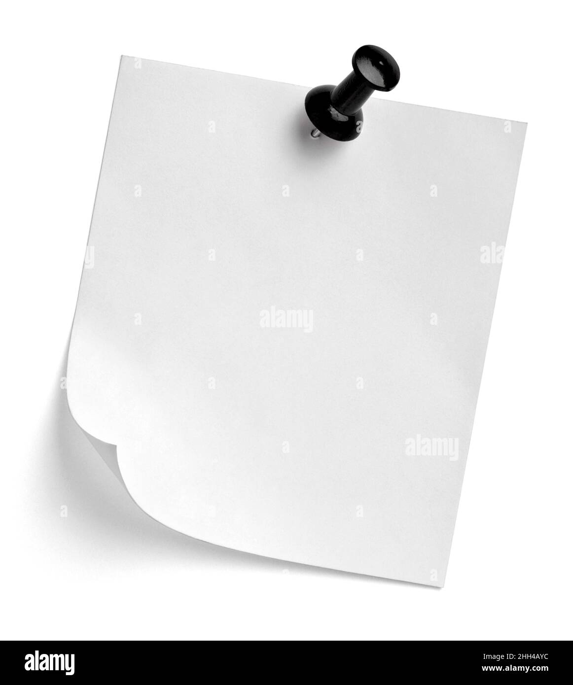 notez le message « punaise » sur papier rouge blanc noir Banque D'Images