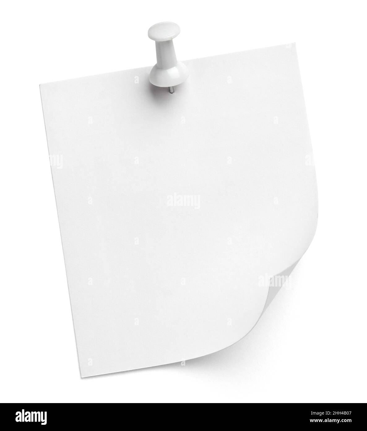 notez le message « punaise » sur papier rouge blanc noir Banque D'Images