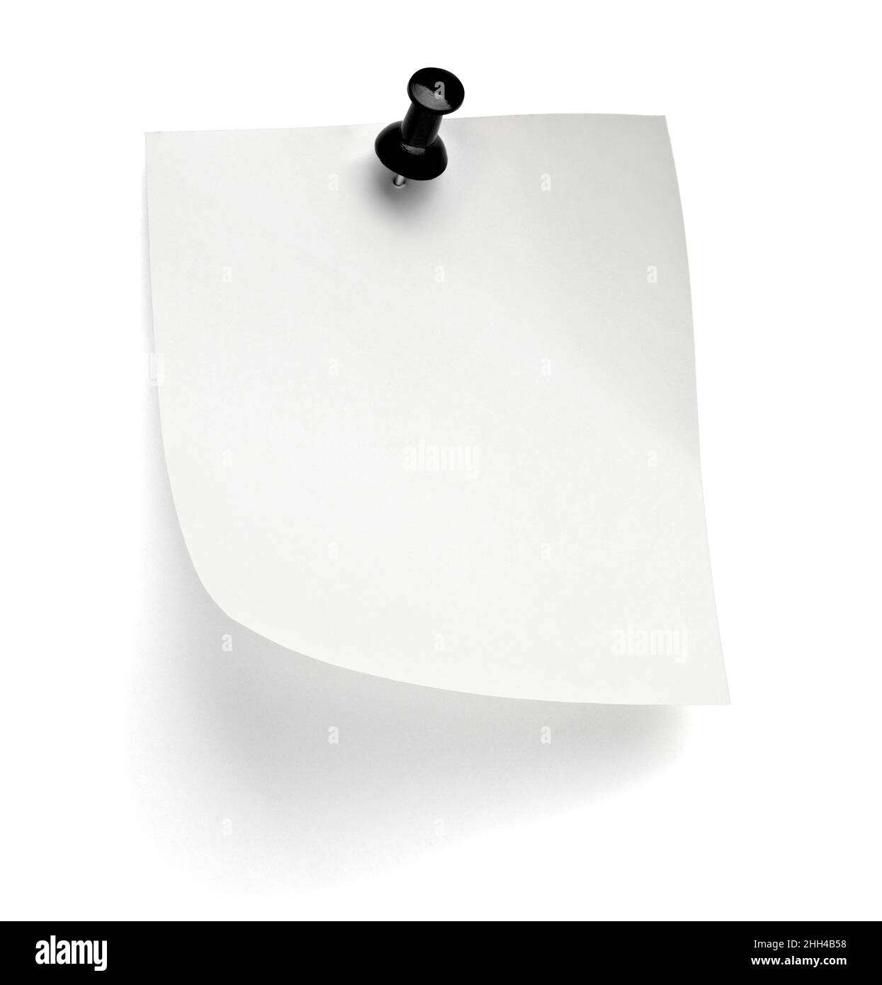 notez le message « punaise » sur papier rouge blanc noir Banque D'Images