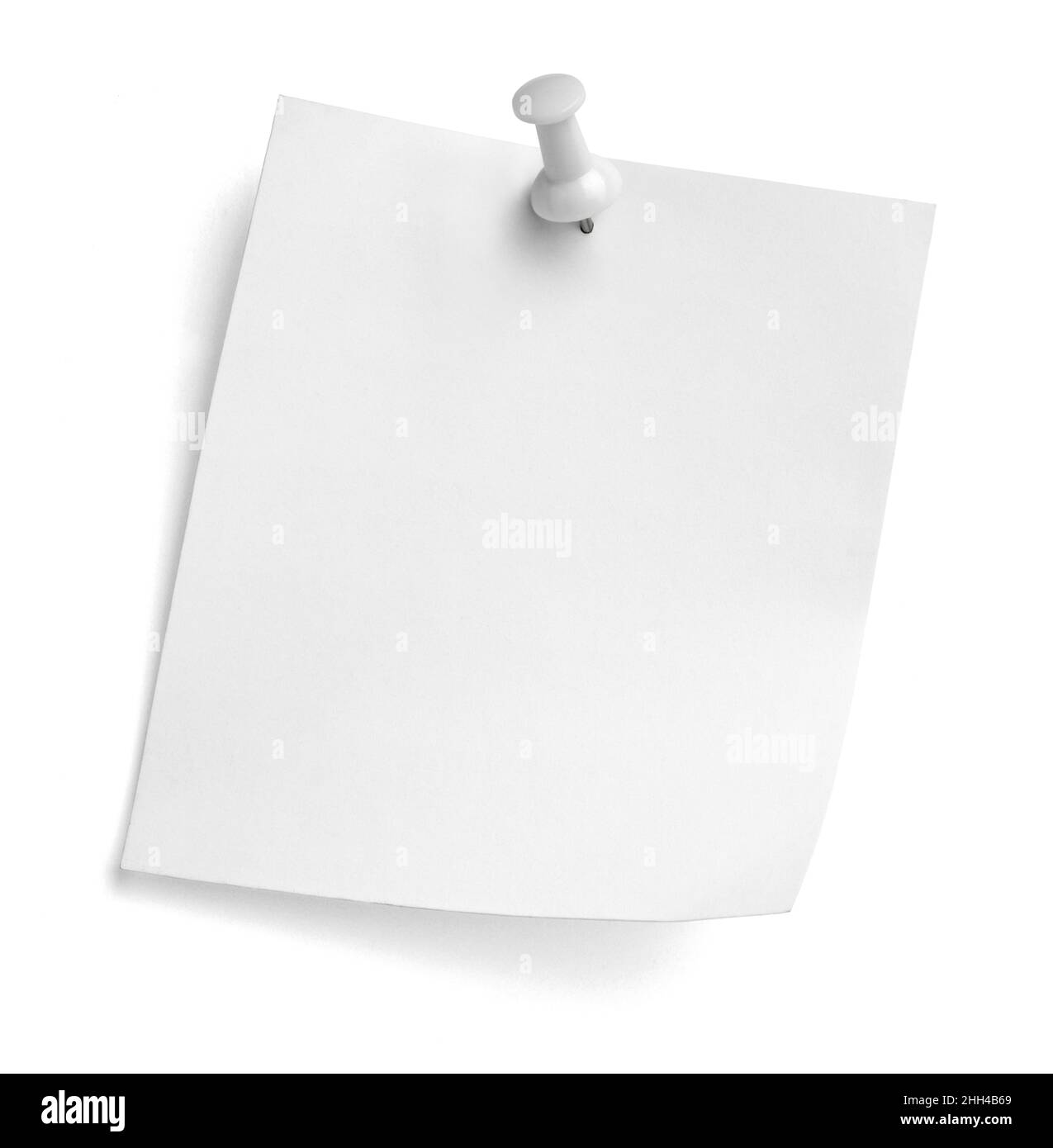 notez le message « punaise » sur papier rouge blanc noir Banque D'Images