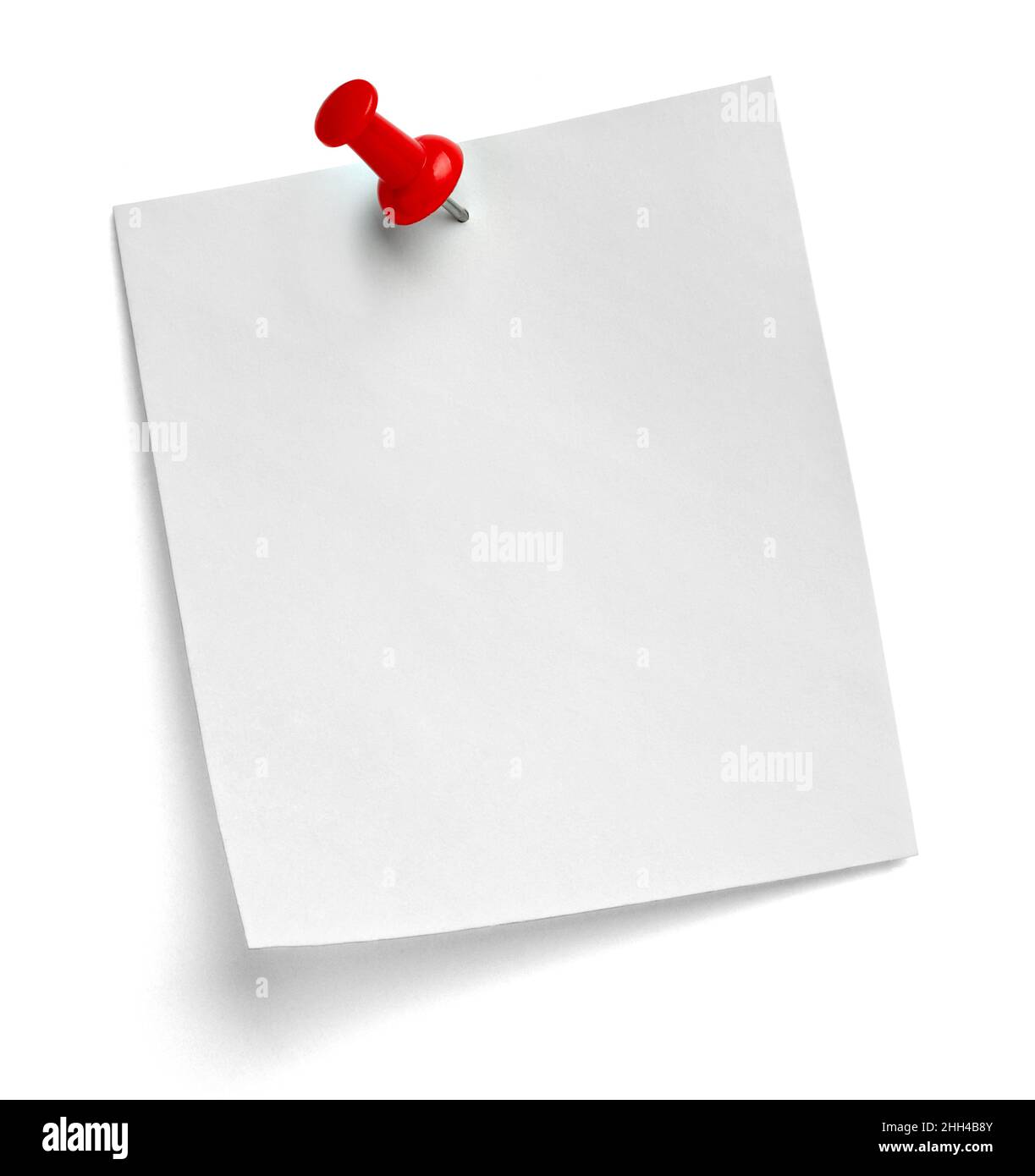 notez le message « punaise » sur papier rouge blanc noir Banque D'Images