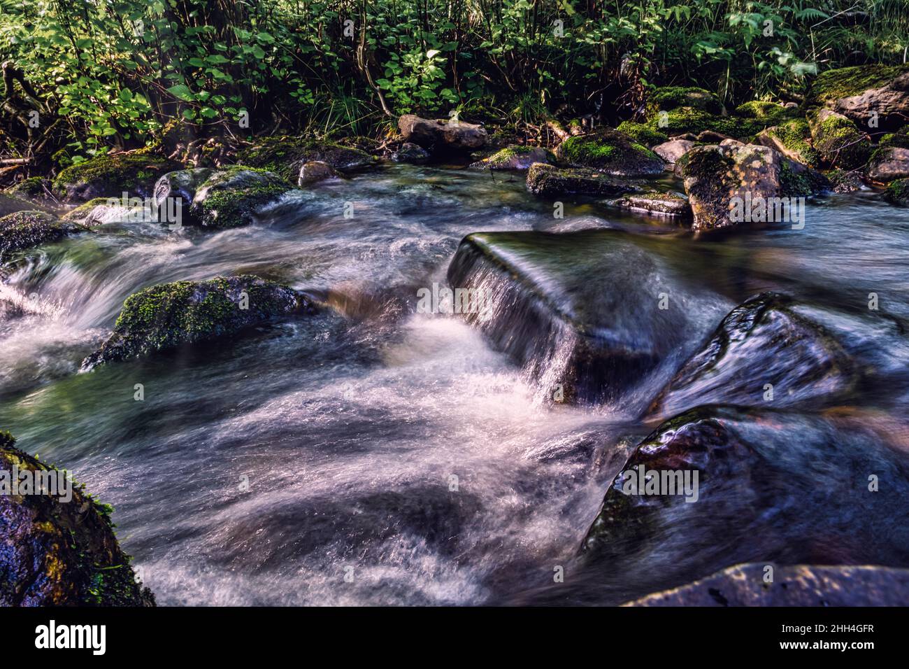 Belle rivière avec eau courante, rapides, rochers mousse et forêt en arrière-plan, longue exposition à volda, norvège Banque D'Images