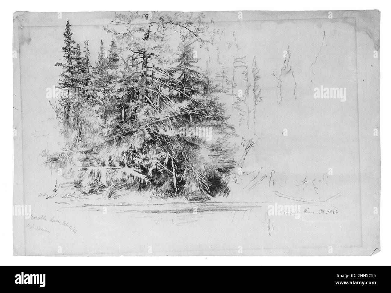 Ausable River 1866 Homer Dodge Martin American.Rivière Ausable.Homer Dodge Martin (américain, Albany, New York 1836–1897 St. Paul, Minnesota).Américain.1866. Graphite sur papier vélin vert Banque D'Images