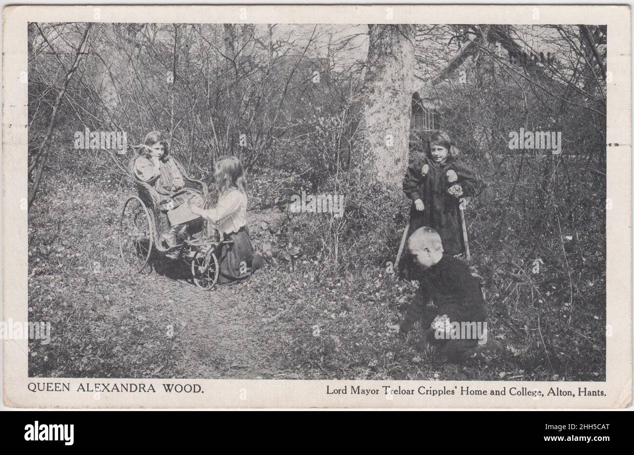 'Queen Alexandra Wood: Lord Mayor Treloar Crippless' Home and College, Alton', Hampshire: Quatre enfants dans les bois, une fille est sur des béquilles, une autre est dans un fauteuil roulant à trois roues.Cette carte postale a été envoyée en 1911 Banque D'Images