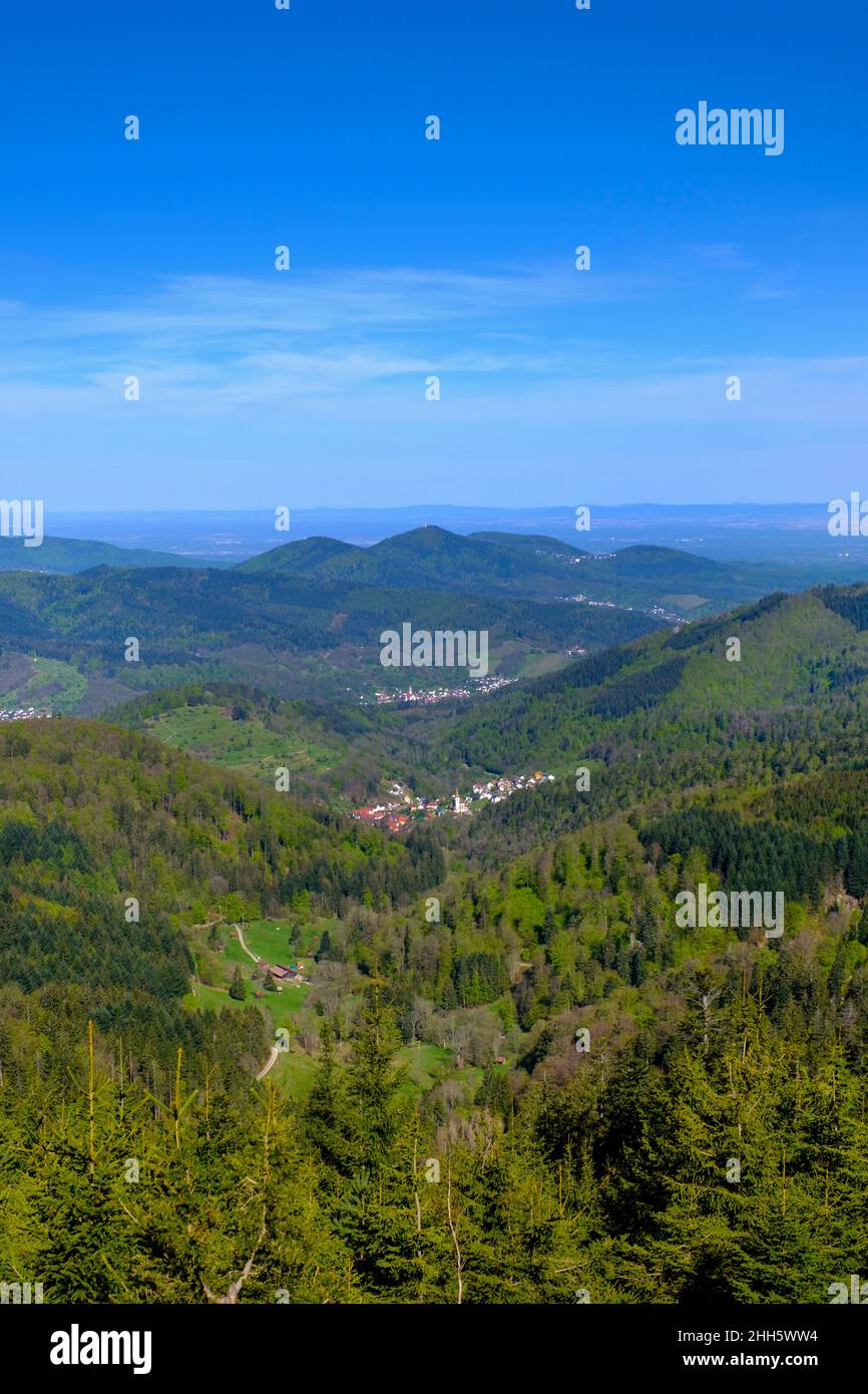 Allemagne, Bade-Wurtemberg, ciel bleu sur la vallée verdoyante boisée de Murgtal avec des villages en arrière-plan Banque D'Images