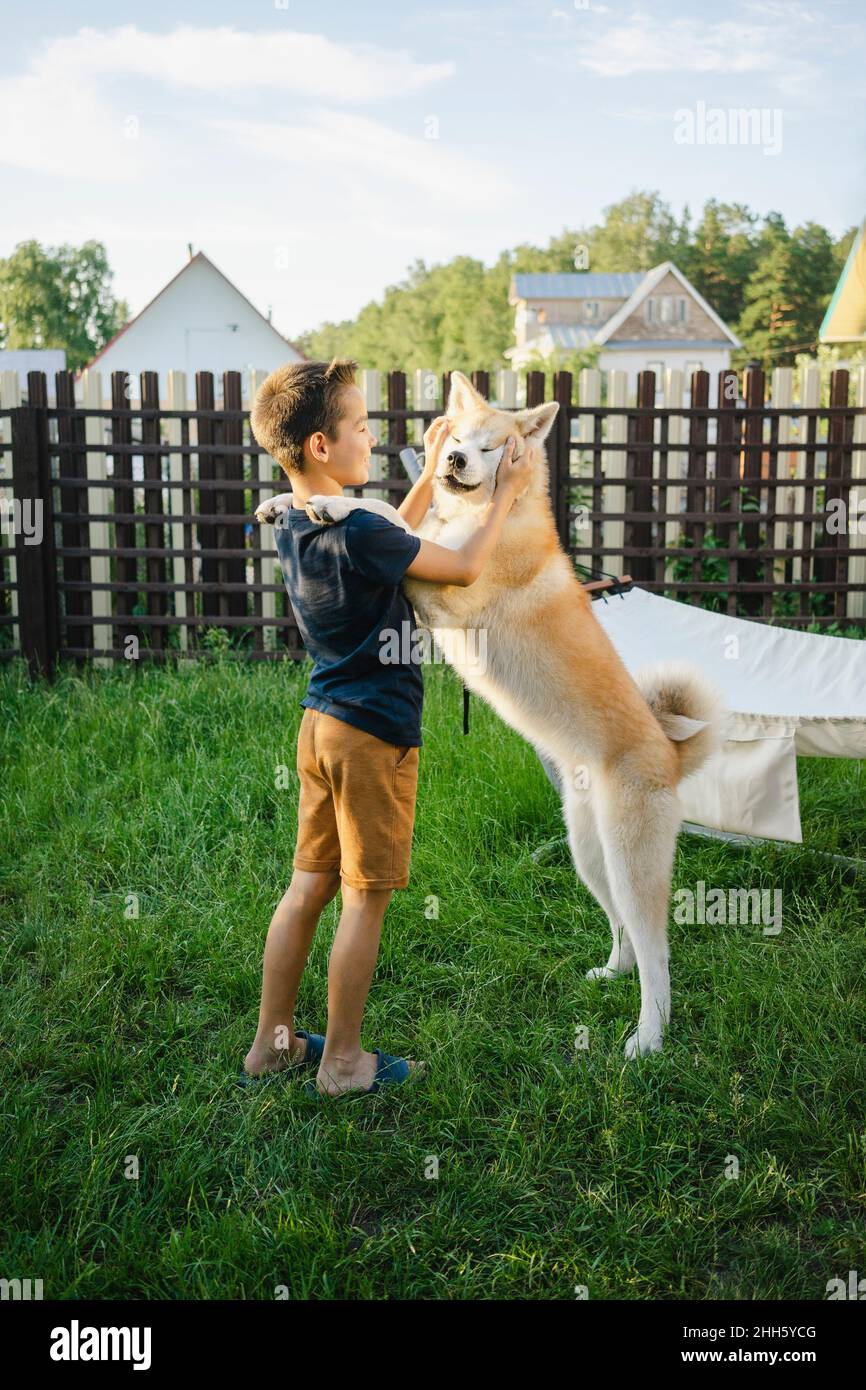Garçon jouant avec le chien Akita sur l'herbe à l'arrière-cour Banque D'Images