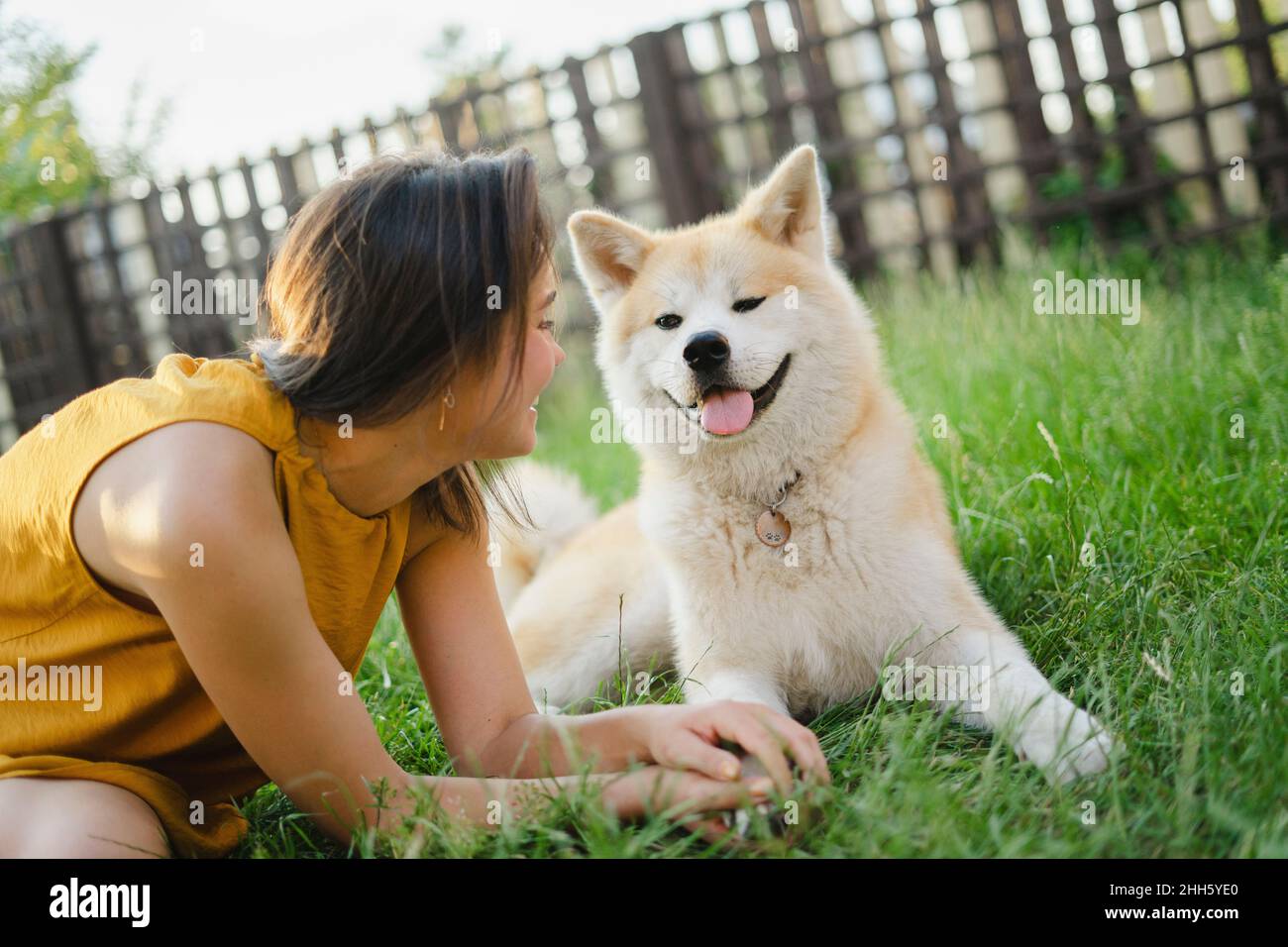 Femme joueur regardant le chien Akita assis sur l'herbe Banque D'Images