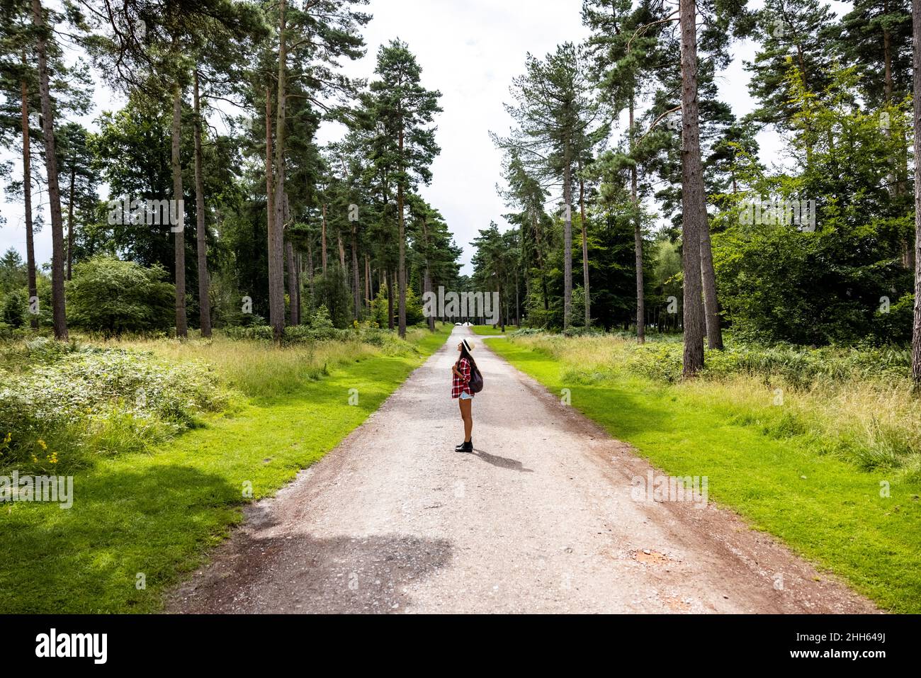 Femme debout sur la route en forêt à Cannock Chase Banque D'Images