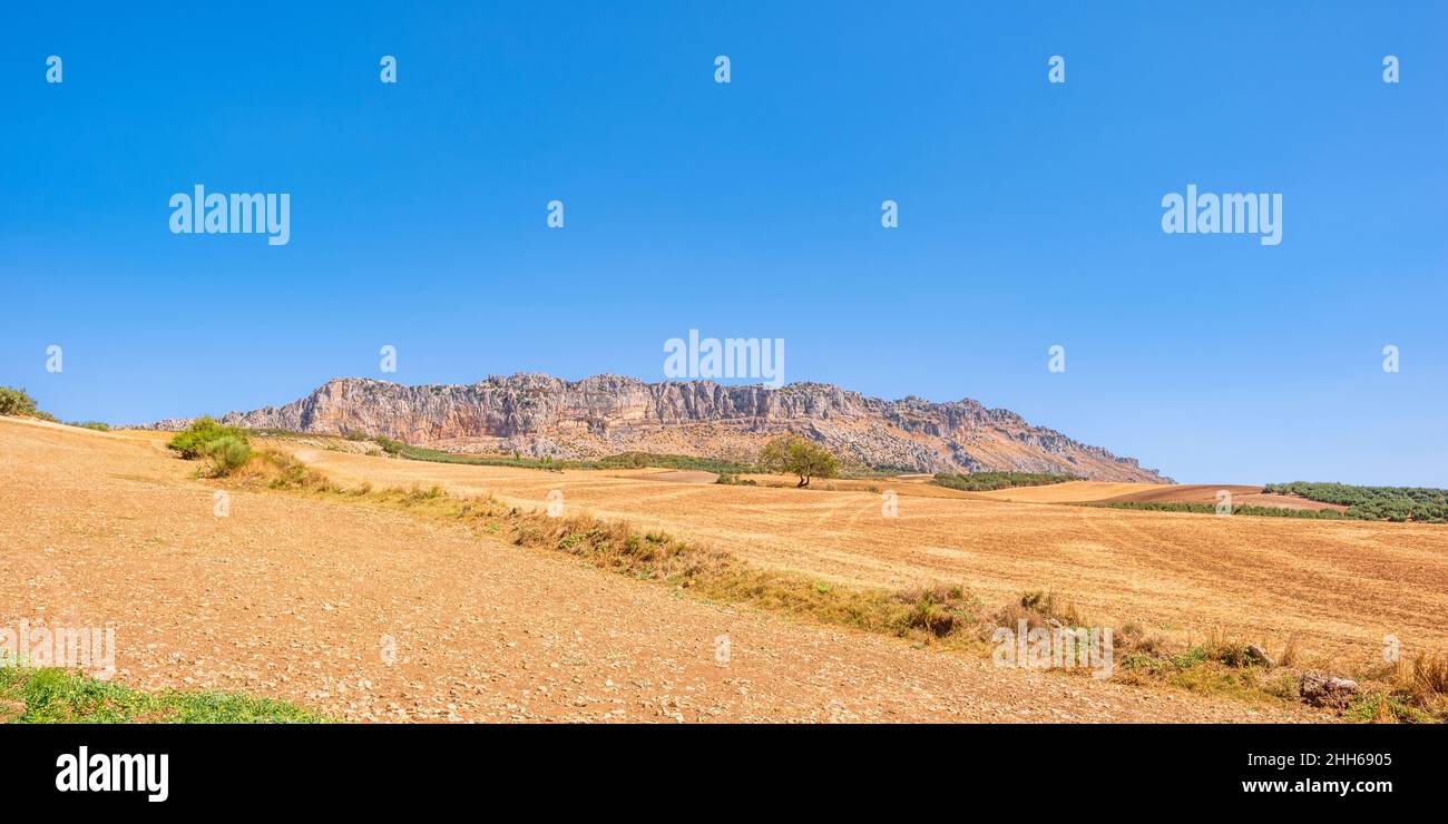 Paysage pittoresque à la réserve naturelle d'El Torcal le jour ensoleillé, Andalousie, Espagne, Europe Banque D'Images