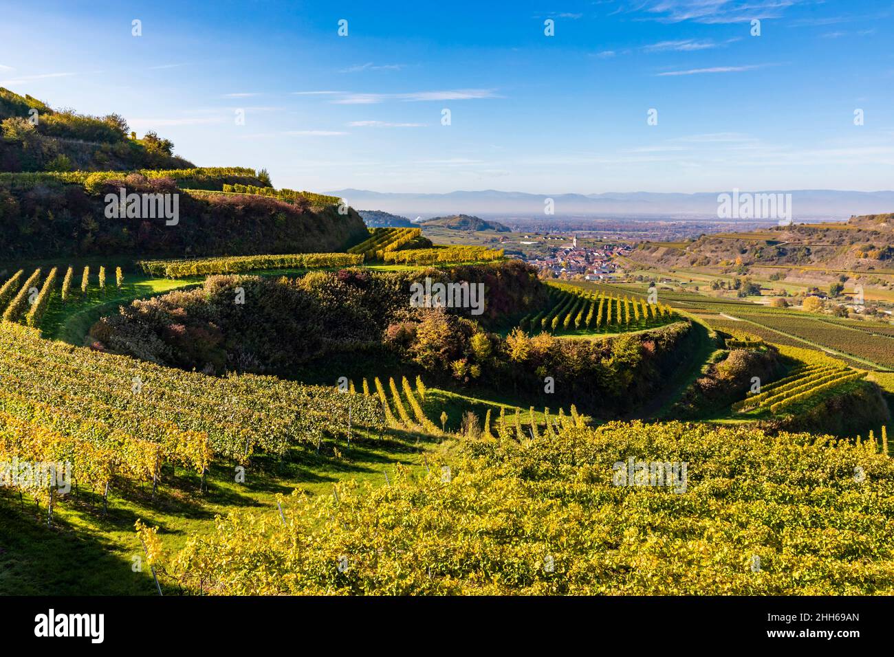 Allemagne, Bade-Wurtemberg, Vogtsburg im Kaiserstuhl, vignobles d'automne dans la gamme Kaiserstuhl Banque D'Images