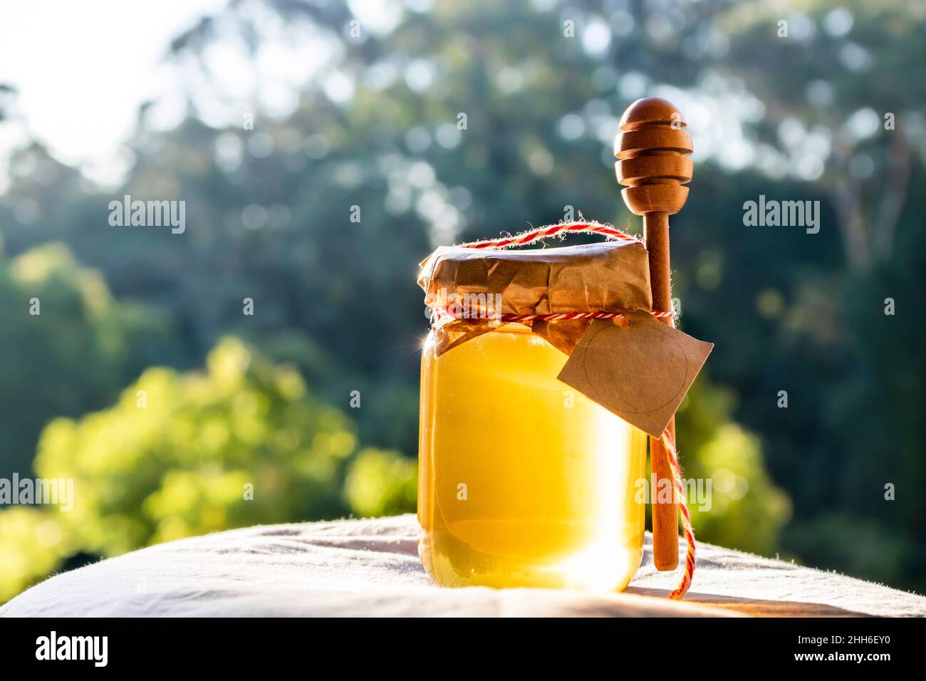 Miel avec un balancier de miel et un bâton de bois.Miel floral bio sur fond flou avec des arbres au Brésil Banque D'Images